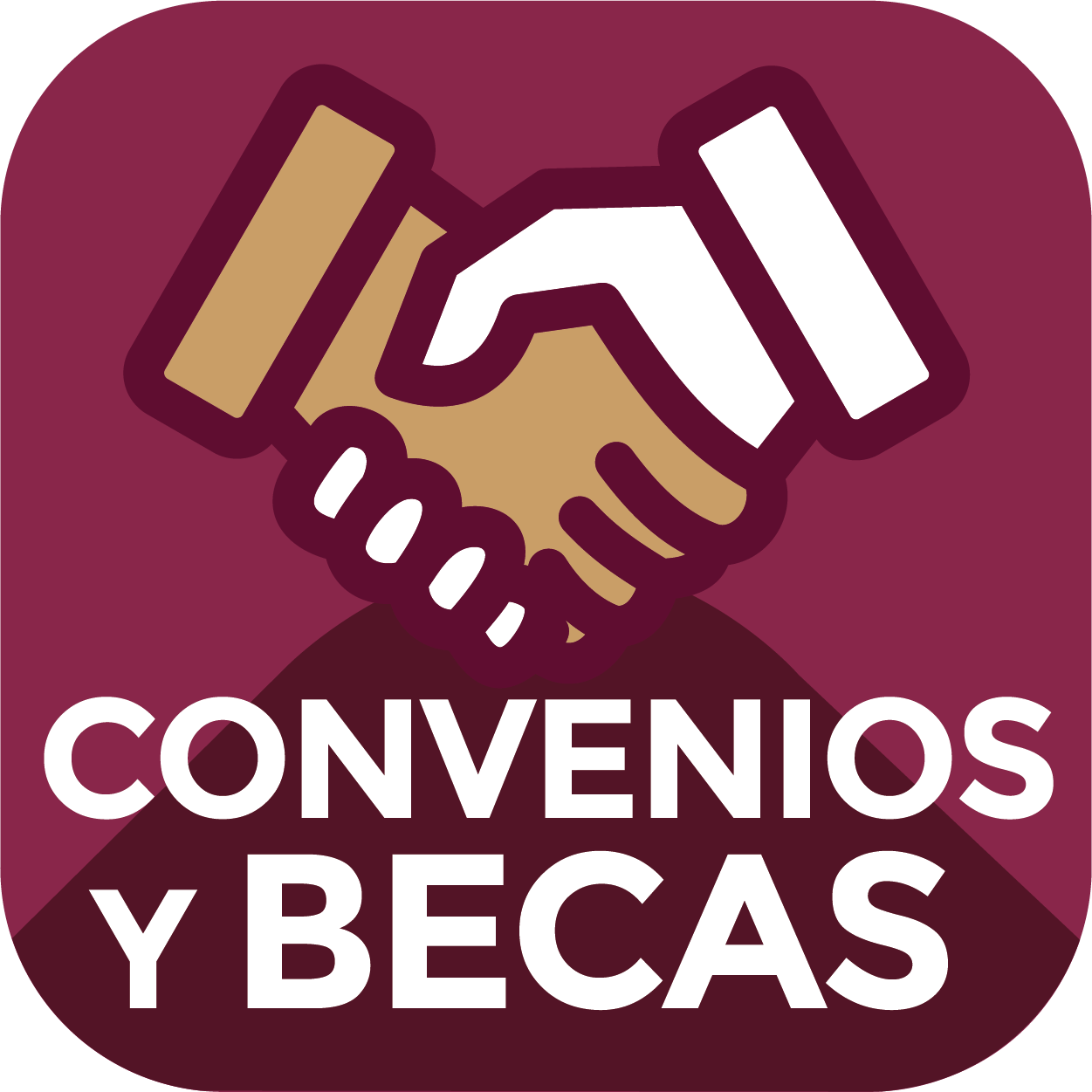 Vinculación