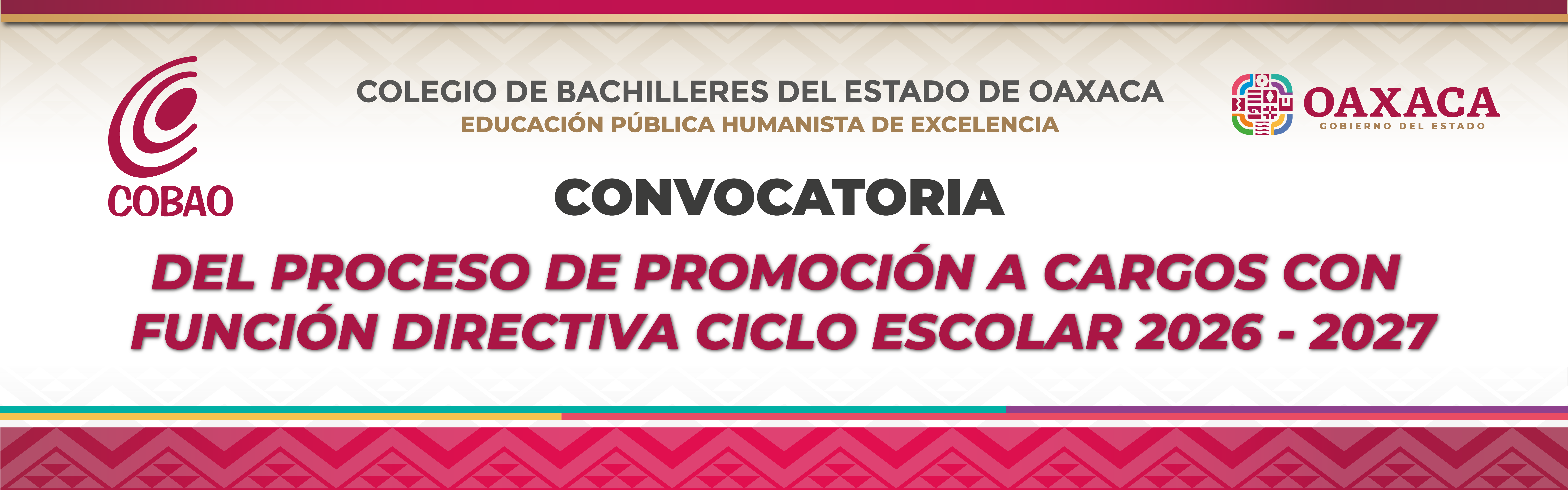 promocionDirectiva
